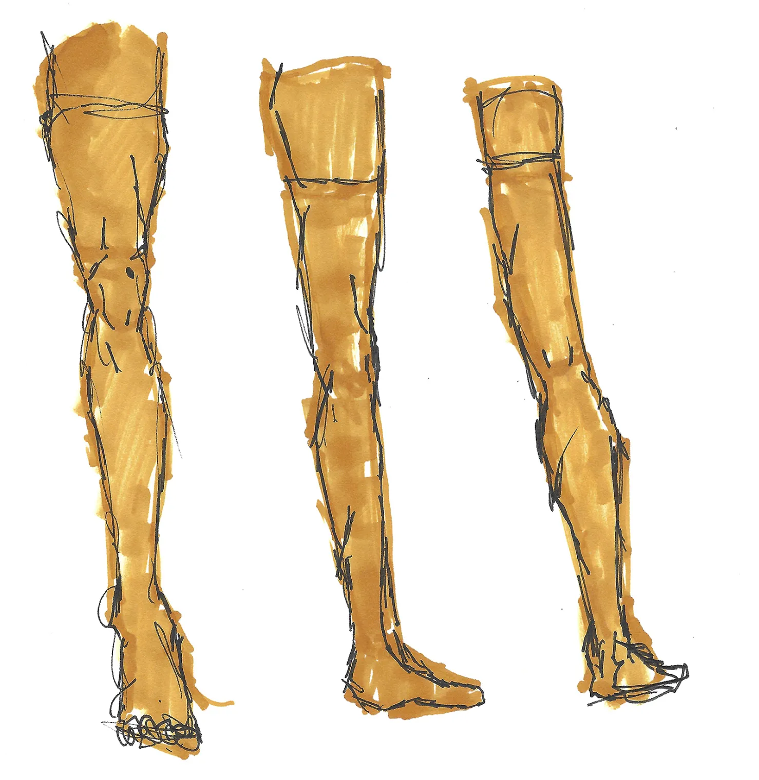 Anatomy – A project by Emil Johannes Mende
