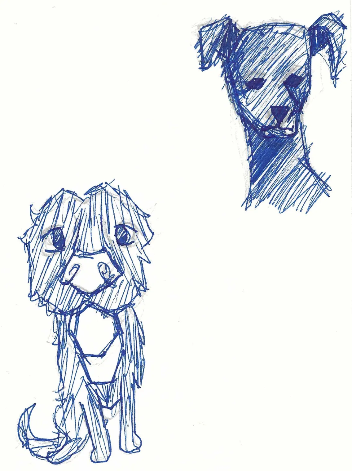 Animals – A project by Emil Johannes Mende