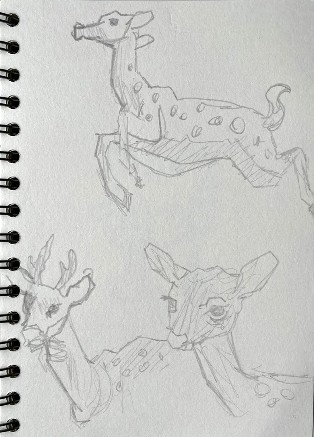 Animals – A project by Emil Johannes Mende
