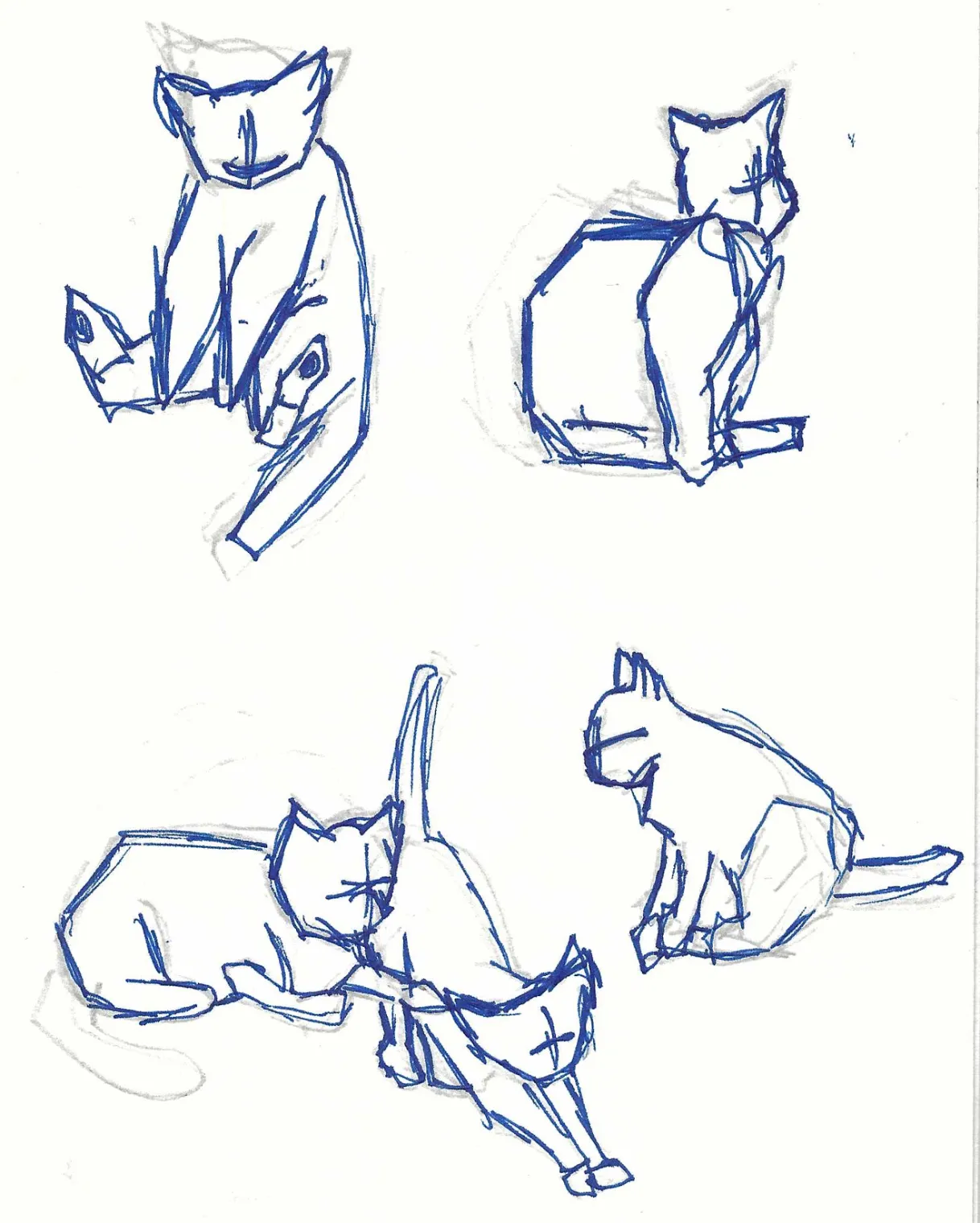 Animals – A project by Emil Johannes Mende