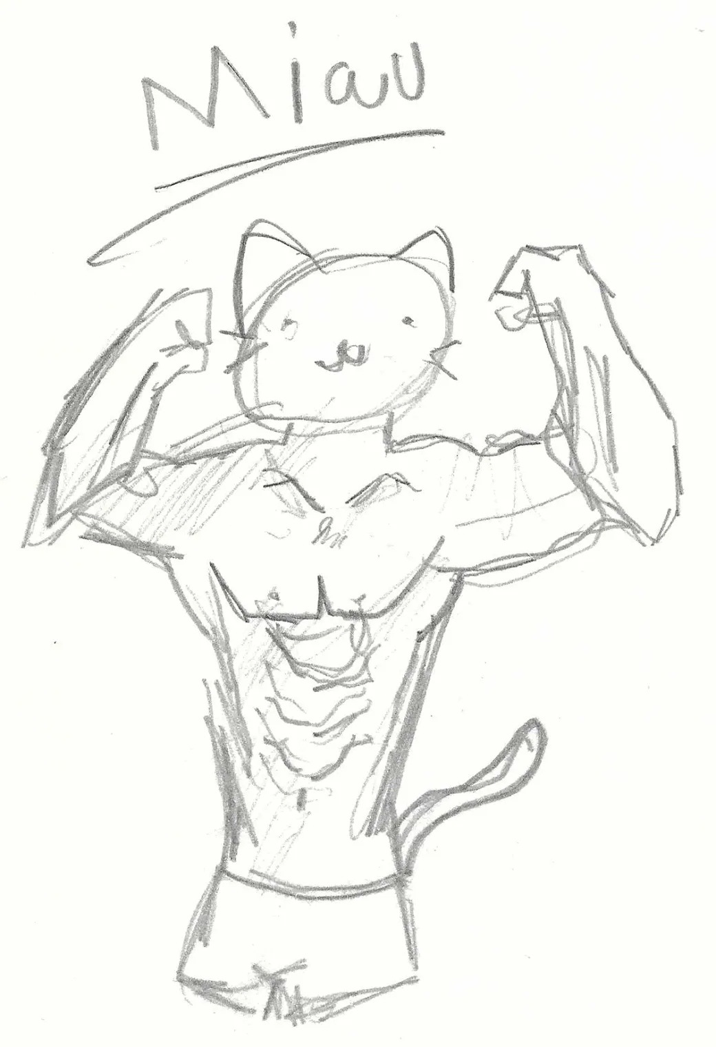 Anime Katzen – A project by Emil Johannes Mende