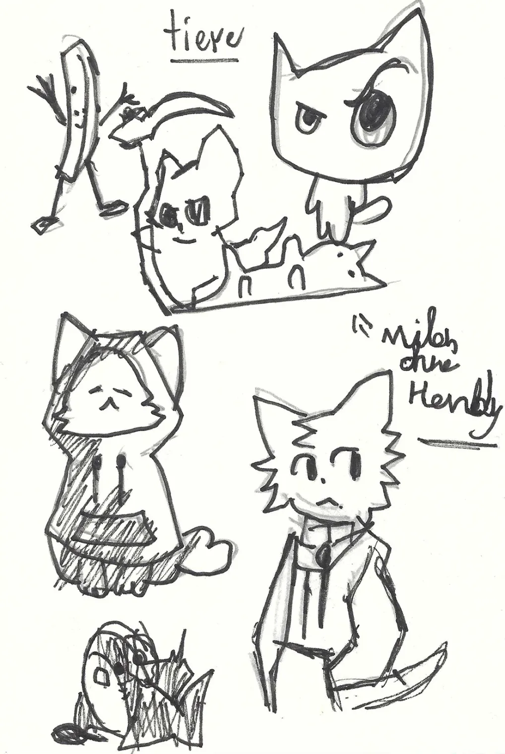 Anime Katzen – A project by Emil Johannes Mende