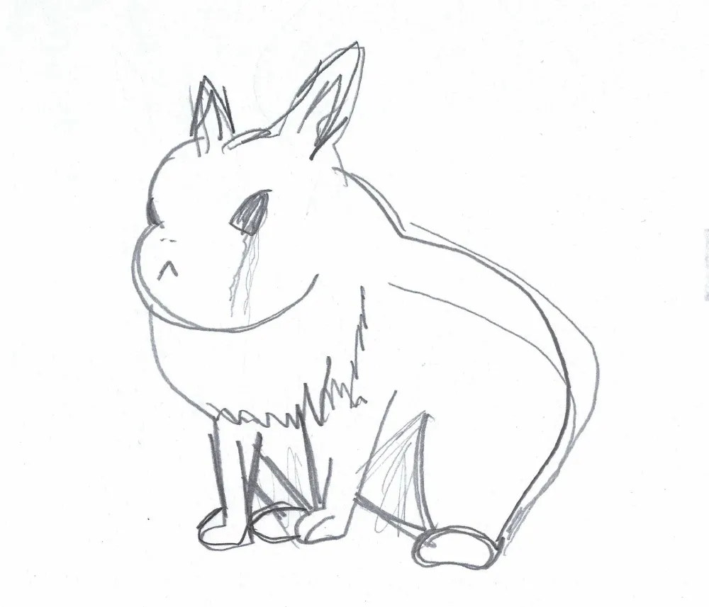 Bunnys and more – A project by Emil Johannes Mende