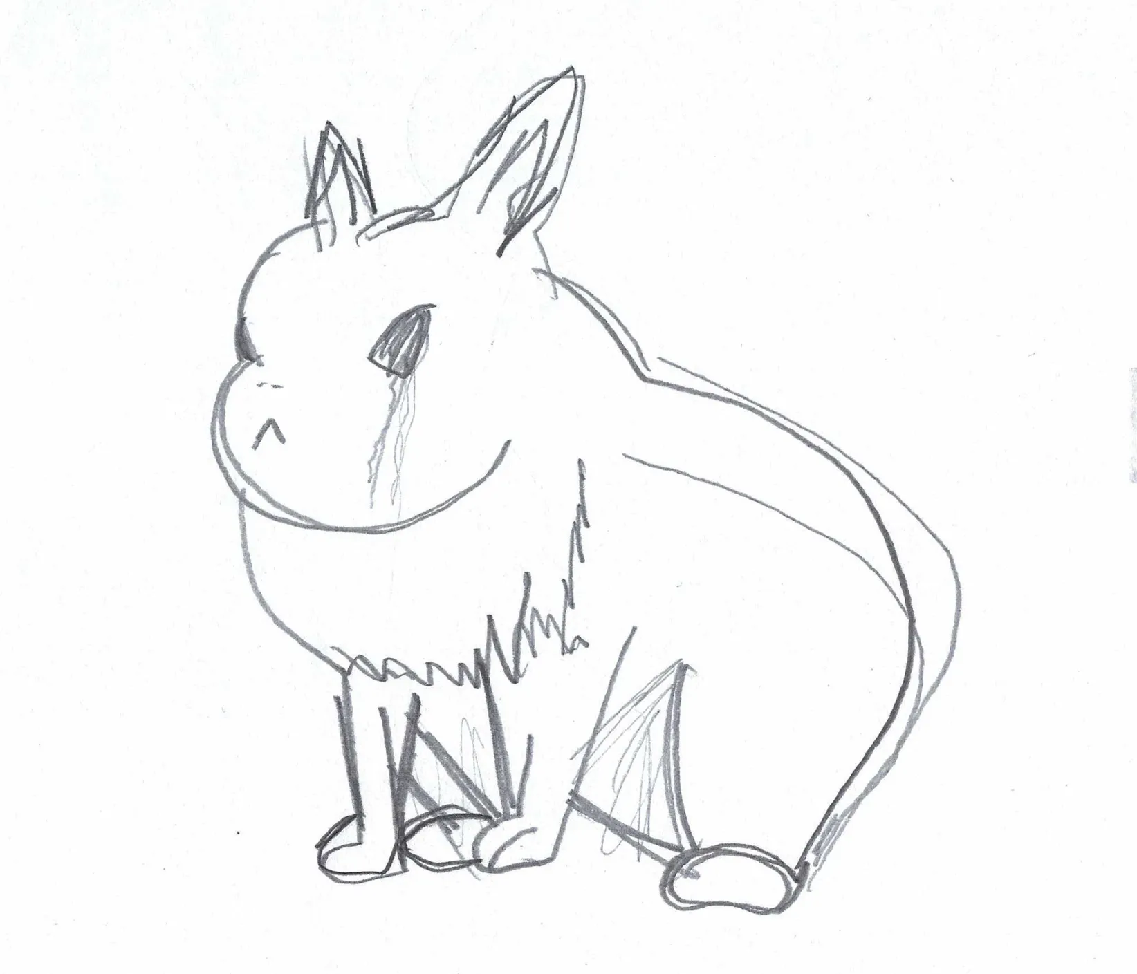 Bunnys and more – A project by Emil Johannes Mende